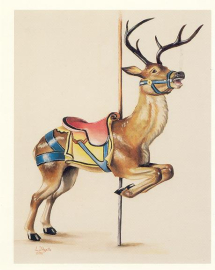 Deer